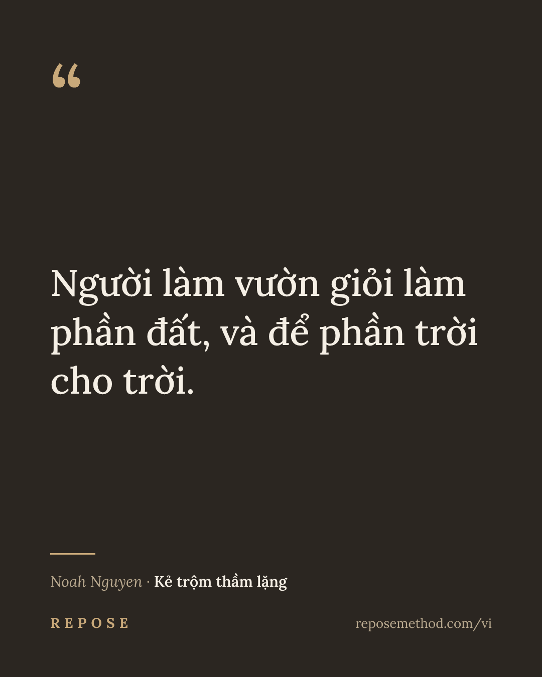 Ảnh trích dẫn 12 / 20